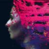 Steven Wilson - Hand. Cannot. Erase. (2LP)