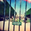 Tame Impala - Lonerism (3LP)