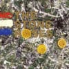 The Stone Roses - The Stone Roses (LP)