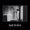 Bauhaus ‎– In The Flat Field (LP)