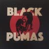 Black Pumas ‎– Black Pumas (LP)