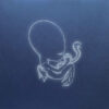 Sigur Rós - Ágætis Byrjun (2LP)