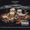 Limp Bizkit ‎– Chocolate Starfish And The Hot Dog Flavored Water (CD)