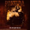 Pantera ‎– Far Beyond Driven (2LP)