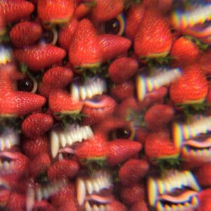 Thee Oh Sees ‎– Floating Coffin (LP)