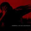 Katatonia – The Great Cold Distance (LP)