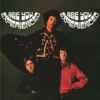 The Jimi Hendrix Experience ‎– Are You Experienced (2LP)
