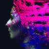Steven Wilson – Hand. Cannot. Erase. (CD)