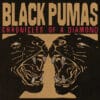 Black Pumas – Chronicles Of A Diamond (LP)