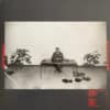 Interpol – Marauder (LP)