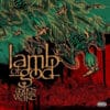 Lamb Of God – Ashes Of The Wake (2LP)