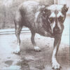 Alice In Chains – Alice In Chains (2LP)