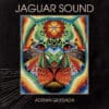 Adrian Quesada – Jaguar Sound (LP)