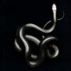 Soen – Imperial (LP)