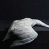 Amenra – Mass VI (CD)