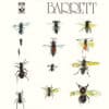 Syd Barrett – Barrett (LP)