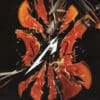 Metallica & San Francisco Symphony – S&M2 (2CD)