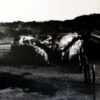 Amenra – Mass V (CD)