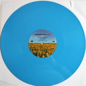 Alternative view of Stone Temple Pilots – Thank You (2LP)
