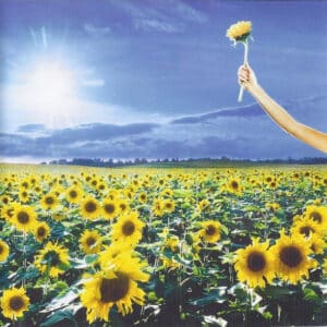 Stone Temple Pilots – Thank You (2LP)