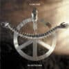 Carcass – Heartwork (LP)