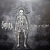 Gojira – The Way Of All Flesh (2LP)