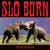 Slo Burn – Amusing The Amazing (LP)