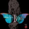 Britney Spears – B In The Mix - The Remixes Vol. 2 (CD)