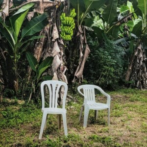 Bad Bunny – Debí Tirar Más Fotos (2LP)