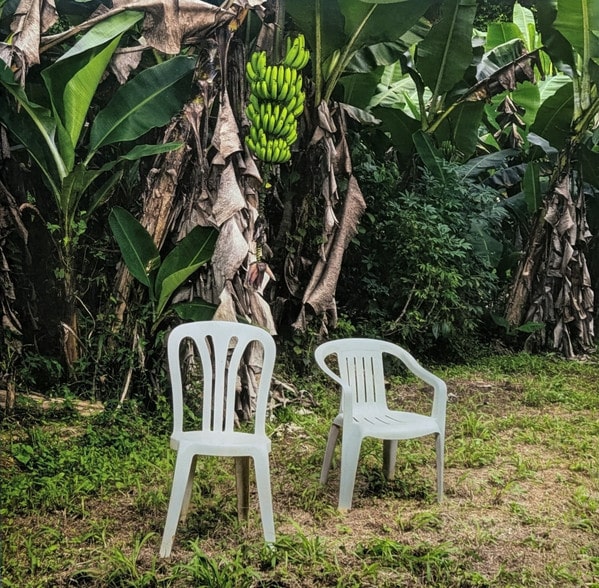 Bad Bunny – Debí Tirar Más Fotos (2LP)