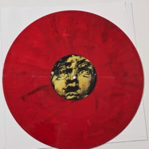 Alternative view of Paradise Lost – Icon (2LP)